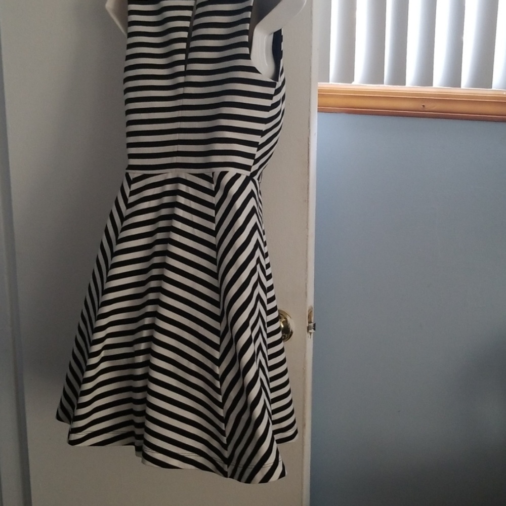 Express Dress - Picture 5 of 8